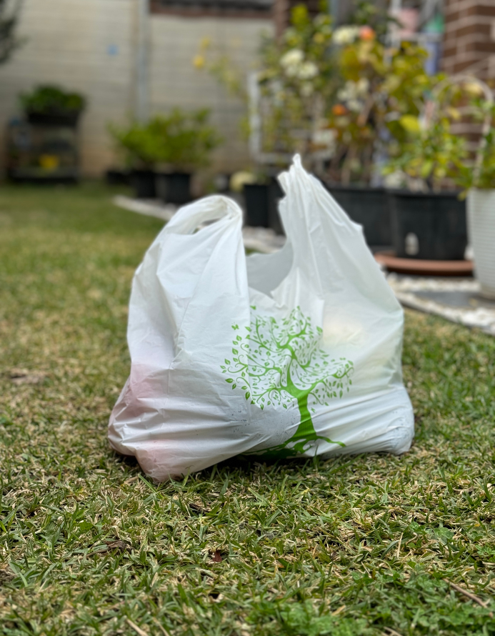 Plastic Carry Bags | Eco Friendly Carry Bags