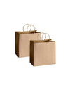 Large Twist Handle Kraft Brown Paper Bags