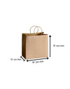 Large Twist Handle Kraft Brown Paper Bags