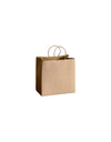 Large Twist Handle Kraft Brown Paper Bags