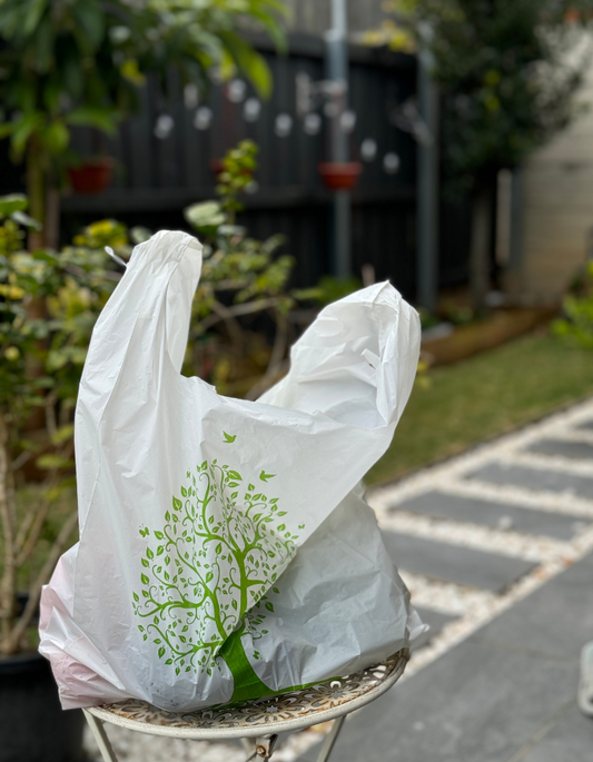 Eco Friendly Carry Bags | Reusable Carry Bags