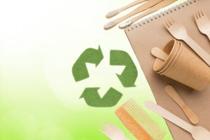 sustainability-and-eco-friendliness-package-service